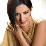 Özlem Özdil Yılbaşı Sahne Fiyatı,