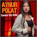 Sanatçı Aynur Polat festival sahne ücreti,