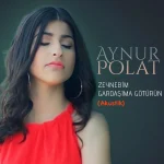 Aynur Polat festival konseri,