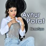 Aynur Polat iletişim,