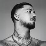 Mahmut Orhan yurtdışı organizasyon,