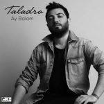 Taladro yurtdışı organizasyon,