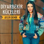 Aylin Demir yurtdışı organizasyon,
