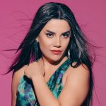 Aylin Demir gurbetçi düğün konseri,